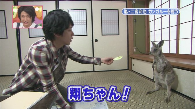 [[HDTV] 110122 天才！志村どうぶつ園（二宮和也）[18-27-55].JPG