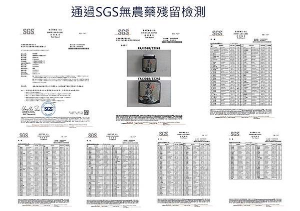 投影片13