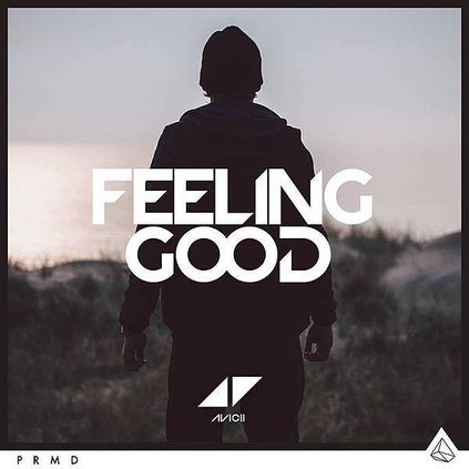 avicii feeling good