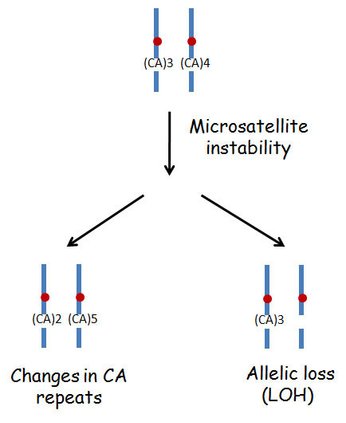 Microsatellite instability