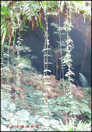 水濂橋古道_005.jpg