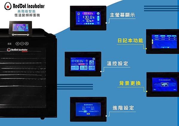 守宮孵蛋、豹紋守宮孵蛋、肥尾守宮孵蛋、鬆獅蜥孵蛋 小技巧分享