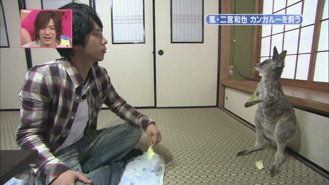 [[HDTV] 110122 天才！志村どうぶつ園（二宮和也）[18-28-30].JPG
