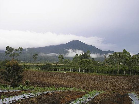 mt. sibuatan.jpg