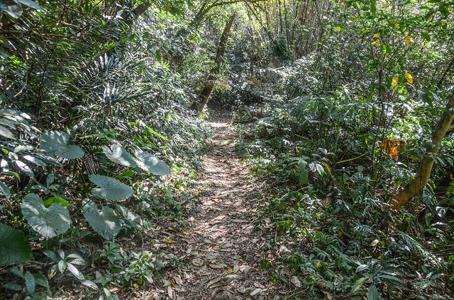 內灣山登山山徑