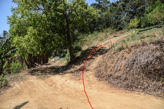 白石湖山產道終點岔路