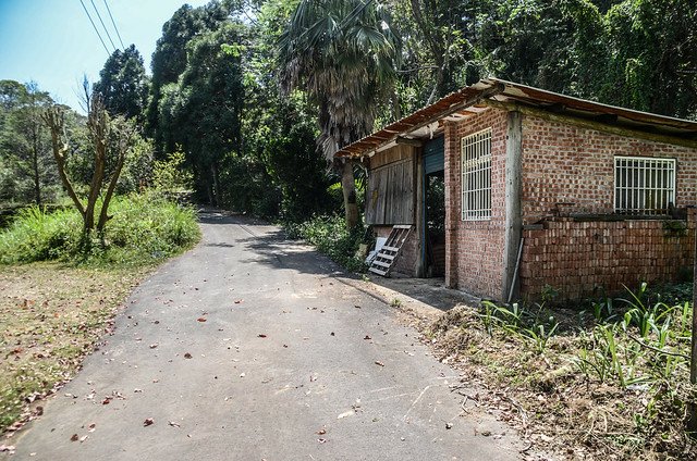 二確山鹿寮坑濕地農場內產道 (1)