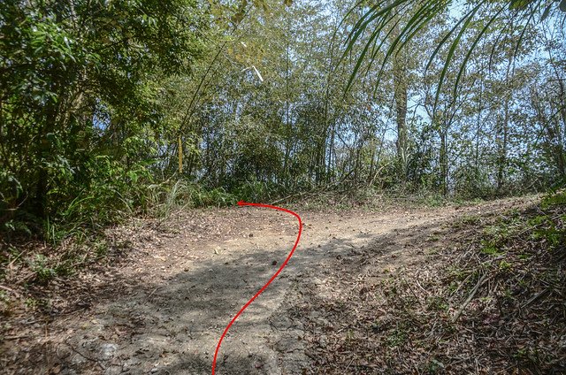 二確山鹿寮坑濕地農場產道稜線岔路