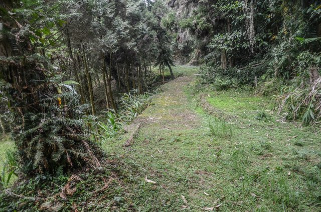 小大寮山登山廢產道