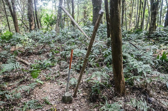 小大寮山山頂 (1)