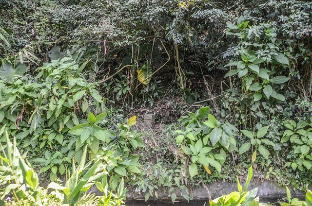 北油羅總督府土木局町杭點位