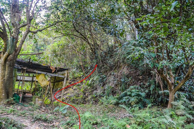 大肚庄(大肚山)登山路徑