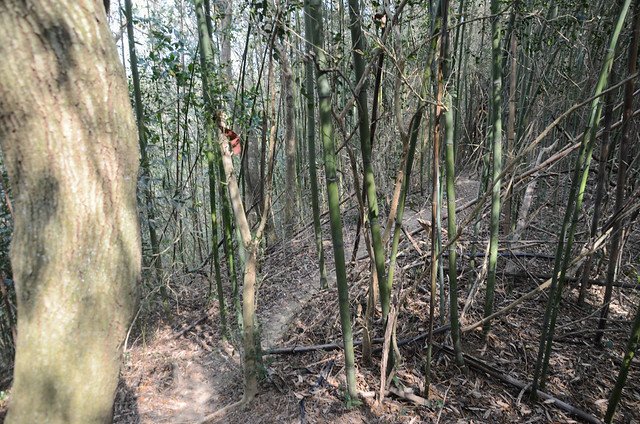 飛沙縱走山徑