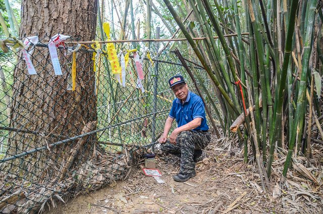 大肚庄(大肚山)冠字藤(21)土地調查局圖根點