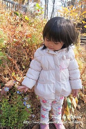 DSC04097.JPG