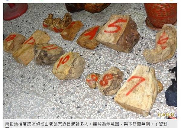 山老鼠/山老鼠！法官罕見判罰1.53億元/影片中被伐倒的台灣