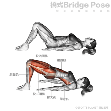 &lt;SuperFIT居家健身菜單&gt;蜜桃臀橋式訓練