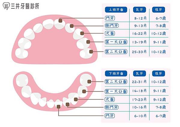 長牙時期-01