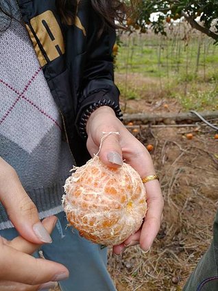 P_20191204_122143.jpg