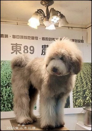 2024龍山寺花燈_034.jpg
