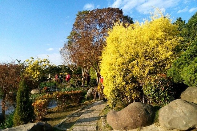 澄霖沉香味道森林館 (10)