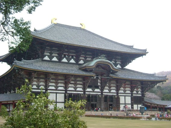 奈良東大寺 (3).JPG