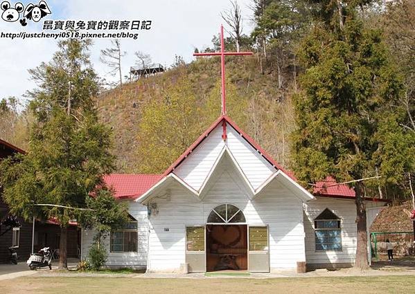 鼠寶與兔寶的觀察日記