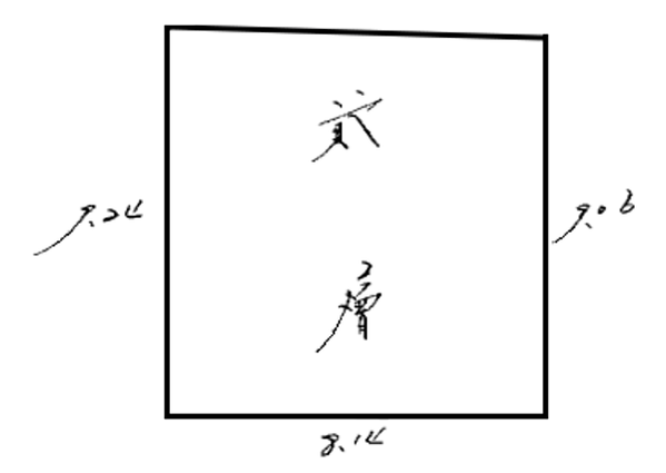 停拍-V(113/12/11)-樹林區-大安路261號-CW