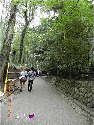 20120807竹林 (11).JPG