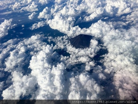 【日本開箱】過海關好怕怕？「日本海關出入境2024」隨身行李