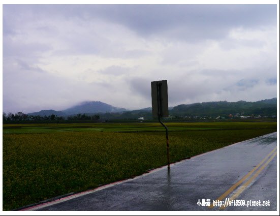 105.01.30.(32)台東-池上伯朗大道.JPG