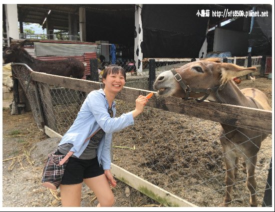 105.09.13.(344)綠島、台東之旅.JPG