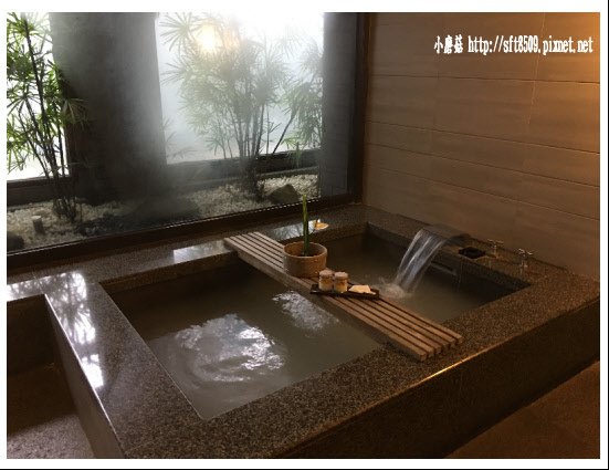 106.2.23.(40)麗禧溫泉酒店泡湯.JPG