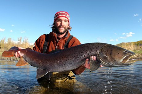 海灘巨型怪獸魚 :　墨西哥海灘驚現巨型「怪獸魚」　馬臉、帶狀身軀嚇壞眾人