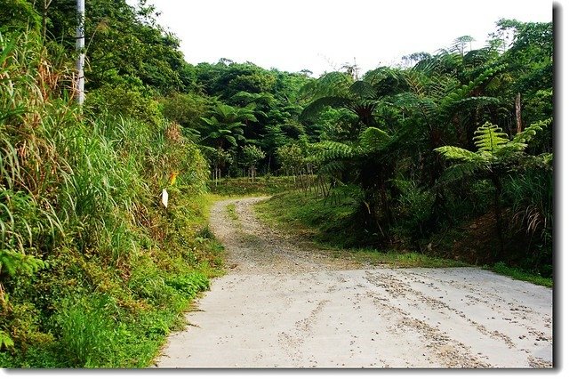 烘爐地山櫻花陵園登山口