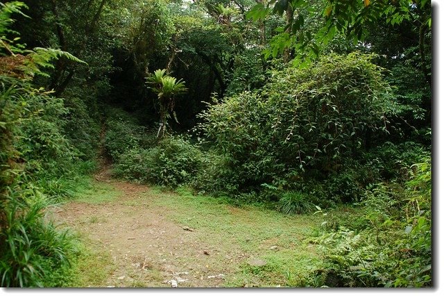 烘爐地山登山步道四岔路口