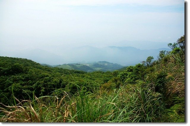 烘爐地山俯瞰櫻花陵園