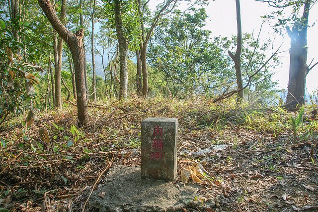 虎寮坑山（鹿寮坑山）三等三角點(#內補261 Elev. 607 m) 1