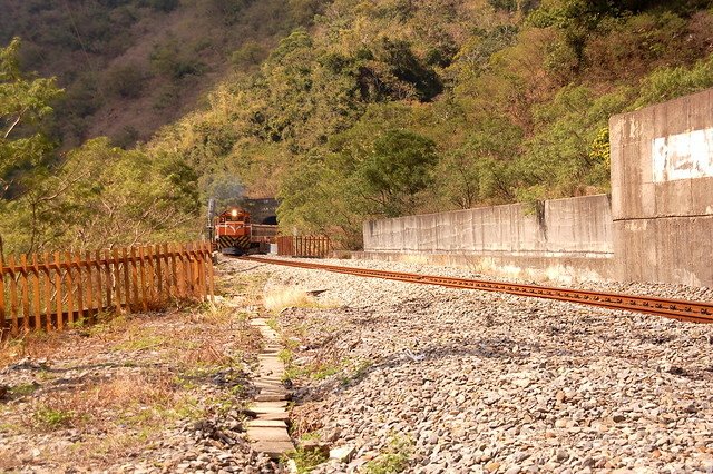 南迴鐵路枋野三號隧道 1