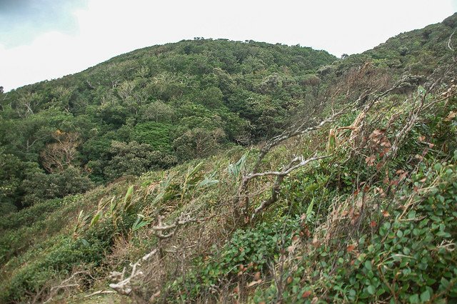 九棚山登山步道 4