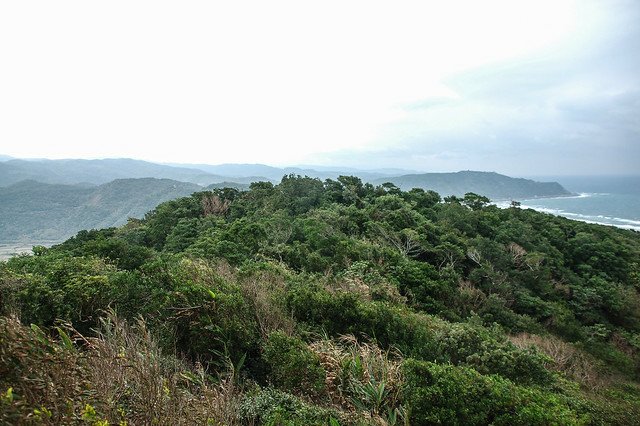 登山步道俯瞰九棚山北峰