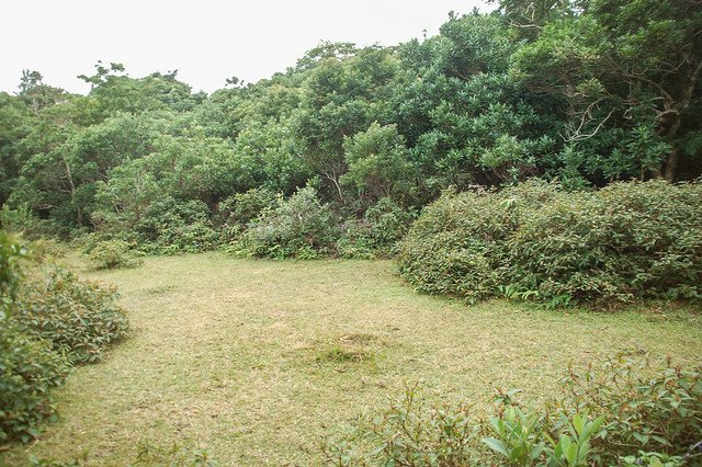 鼻頭山、九棚山岔路