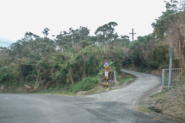 右上四林格山產道