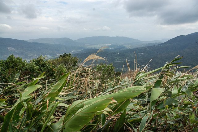 四林山山頂展望