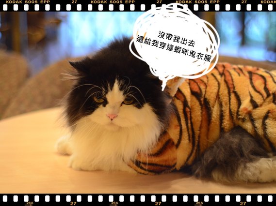 南部14.JPG
