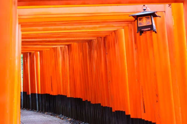 日本自助行│京都景點推薦~超簡易交通、路線介紹~開始排行程吧
