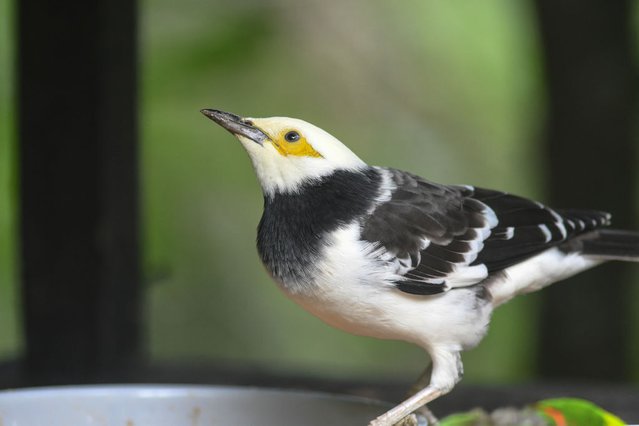 D50_9031.JPG