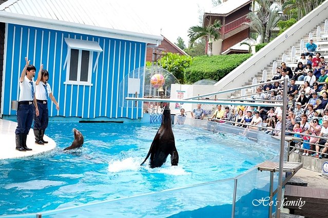 【花蓮親子景點2019】花蓮遠雄海洋公園7.JPG