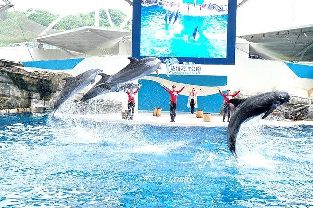 【花蓮親子景點2019】花蓮遠雄海洋公園18.JPG