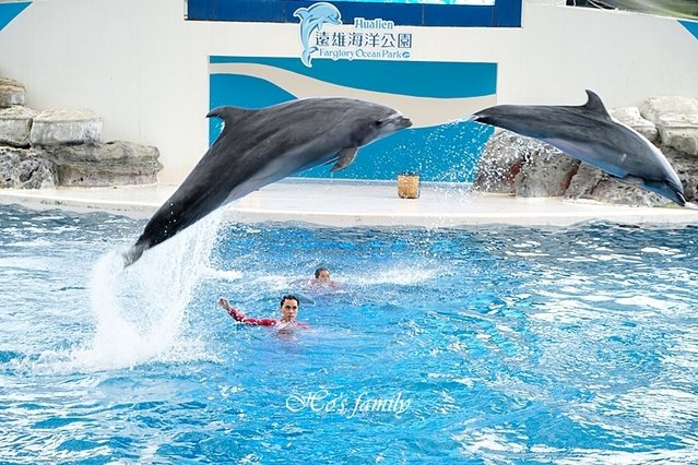 【花蓮親子景點2019】花蓮遠雄海洋公園17.JPG